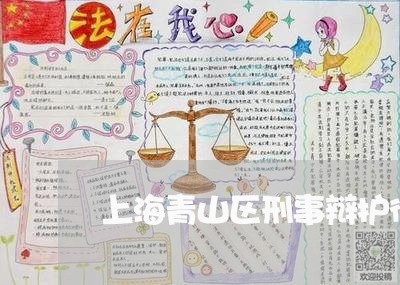 上海青山区刑事辩护律师/2023041097269