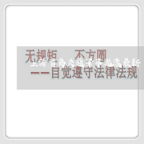 上海青岛交通肇事逃逸最新/2023031725149