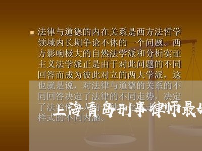 上海青岛刑事律师最好的/2023041041492