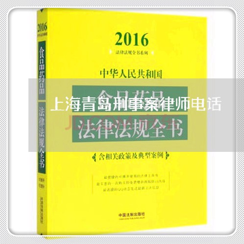 上海青岛刑事案律师电话/2023041040282