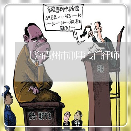 上海青州市刑事专门律师/2023021472704 上海青州市刑事专门律师/2023021472704