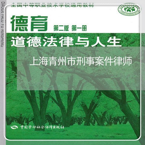 上海青州市刑事案件律师/2023041068582