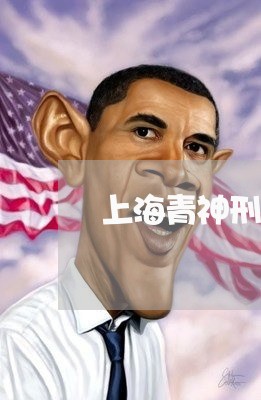 上海青神刑事辩护律师推荐/2023031768683 上海青神刑事辩护律师推荐/2023031768683