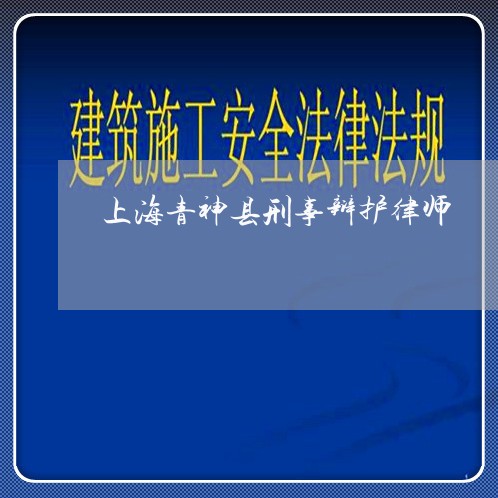 上海青神县刑事辩护律师/2023041008260