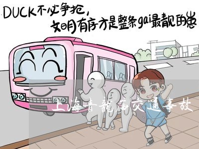 上海青龙庙交通事故/2023032459403 上海青龙庙交通事故/2023032459403