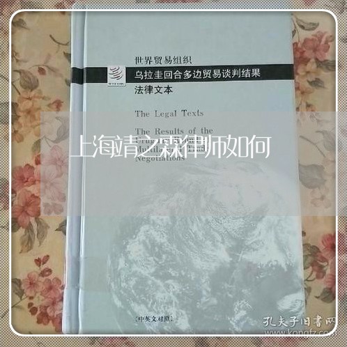 上海靖之霖律师如何/2023032449582