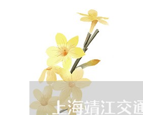 上海靖江交通事故九级伤残/2023030207059