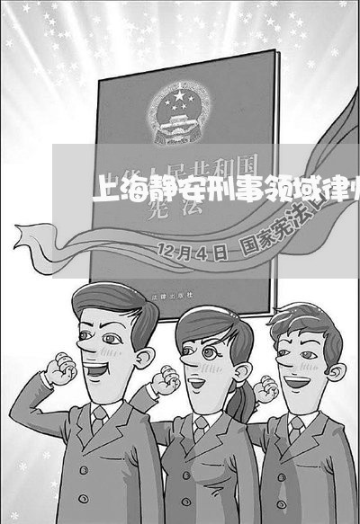 上海静安刑事领域律师怎么委托/2023041526050