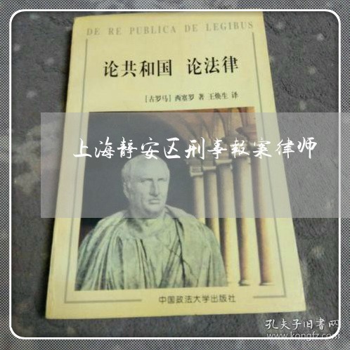 上海静安区刑事报案律师/2023041029694