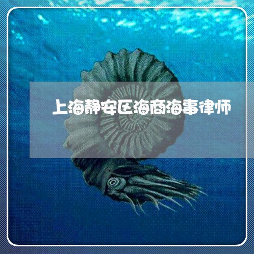 上海静安区海商海事律师/2023021405824 上海静安区海商海事律师/2023021405824