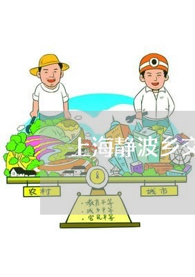 上海静波乡交通事故/2023032462615 上海静波乡交通事故/2023032462615