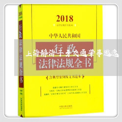 上海静海子牙交通肇事逃逸/2023030205846 上海静海子牙交通肇事逃逸/2023030205846