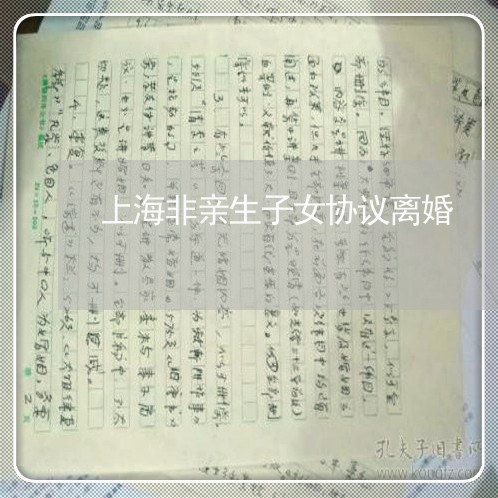 上海非亲生子女协议离婚/2023021406947 上海非亲生子女协议离婚/2023021406947