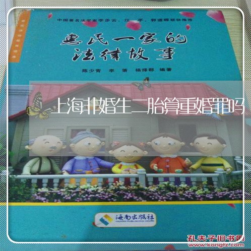 上海非婚生二胎算重婚罪吗/2023030224039