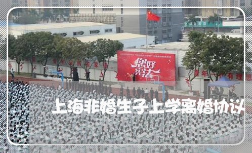 上海非婚生子上学离婚协议/2023030296040