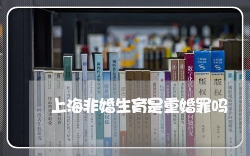 上海非婚生育是重婚罪吗/2023021449168 上海非婚生育是重婚罪吗/2023021449168