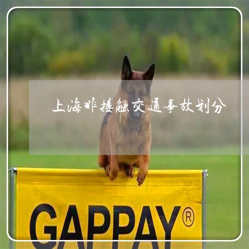 上海非接触交通事故划分/2023021414946 上海非接触交通事故划分/2023021414946