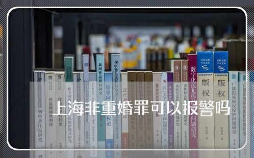 上海非重婚罪可以报警吗/2023041031383