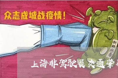 上海非驾驶员交通肇事罪/2023021417360 上海非驾驶员交通肇事罪/2023021417360