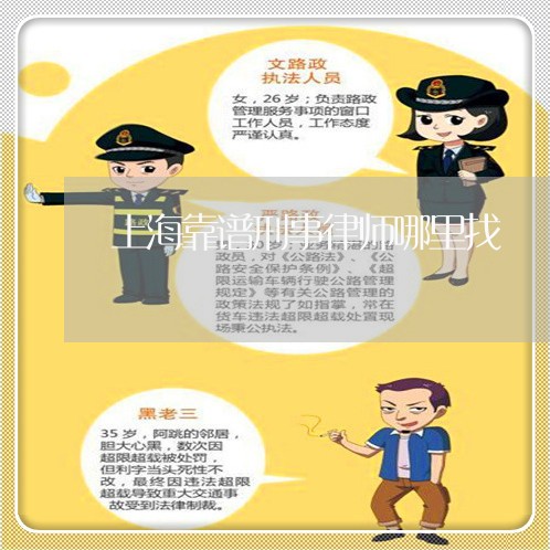 上海靠谱刑事律师哪里找/2023041042925