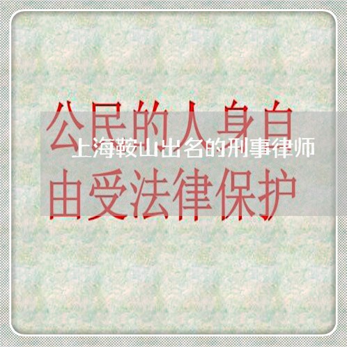 上海鞍山出名的刑事律师/2023021405267 上海鞍山出名的刑事律师/2023021405267