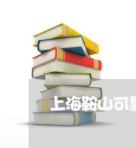上海鞍山可靠的债权债务律师/2023032163936