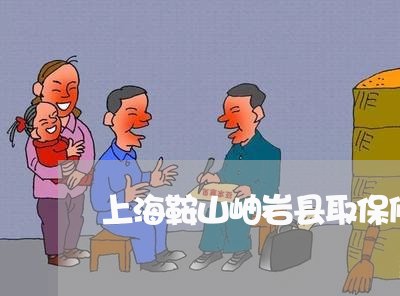 上海鞍山岫岩县取保候审律师/2023032158604 上海鞍山岫岩县取保候审律师/2023032158604