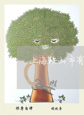 上海鞍山市有实力的刑事律师/2023032146259 上海鞍山市有实力的刑事律师/2023032146259