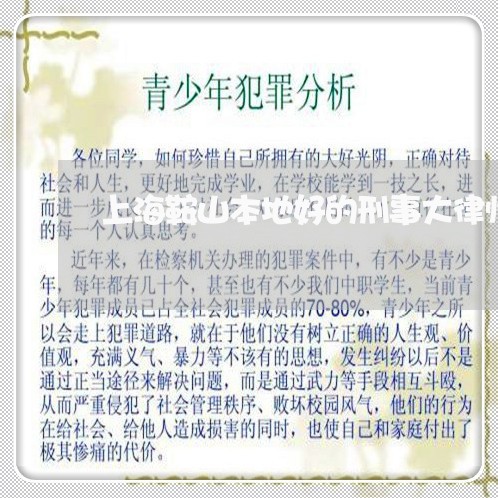 上海鞍山本地好的刑事大律师/2023032130481 上海鞍山本地好的刑事大律师/2023032130481