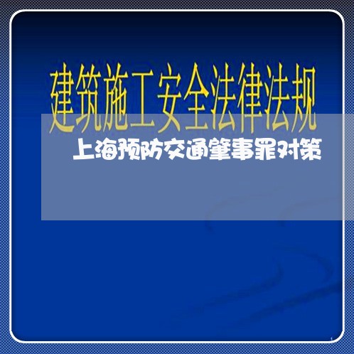 上海预防交通肇事罪对策/2023041049181