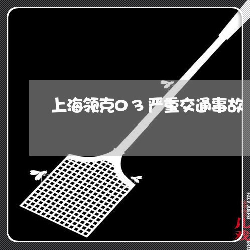 上海领克03严重交通事故/2023030248271 上海领克03严重交通事故/2023030248271