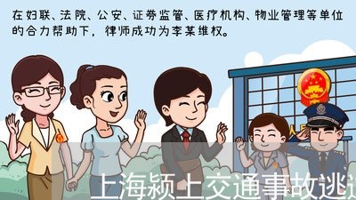 上海颍上交通事故逃逸人员/2023030227269 上海颍上交通事故逃逸人员/2023030227269