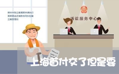 上海首付交了但是要/2023021582513