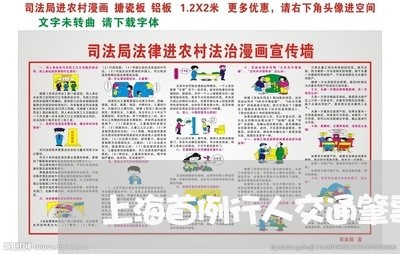 上海首例行人交通肇事罪案例/2023032104026 上海首例行人交通肇事罪案例/2023032104026