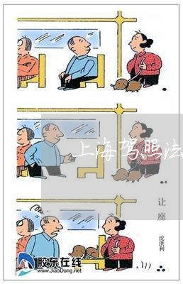 上海驾照法律咨询