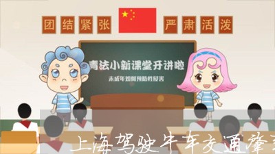 上海驾驶牛车交通肇事罪/2023041040583