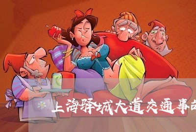 上海驿城大道交通事故车祸/2023030260693