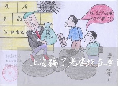 上海骗了老婆现在要离婚/2023021584816 上海骗了老婆现在要离婚/2023021584816