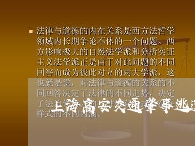 上海高安交通肇事逃逸案/2023041073915