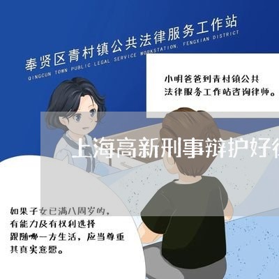 上海高新刑事辩护好律师/2023041006251