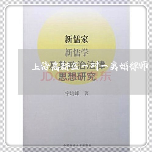 上海高新区一对一离婚律师/2023030227259 上海高新区一对一离婚律师/2023030227259