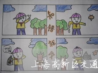 上海高新区交通肇事逃逸/2023021535141 上海高新区交通肇事逃逸/2023021535141