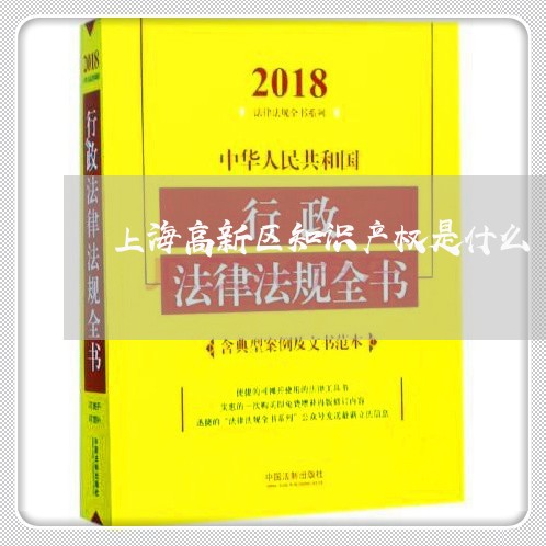 上海高新区知识产权是什么/2023030260483