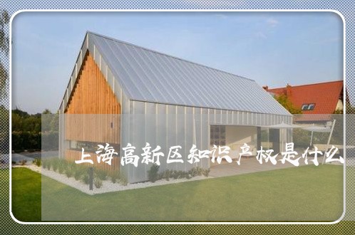 上海高新区知识产权是什么/2023030289414