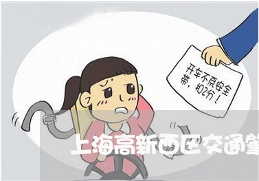 上海高新西区交通肇事律师/2023031760683