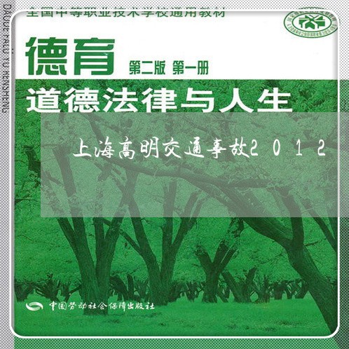 上海高明交通事故2012/2023030282792