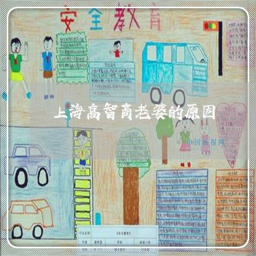 上海高智商老婆的原因/2023030246170 上海高智商老婆的原因/2023030246170