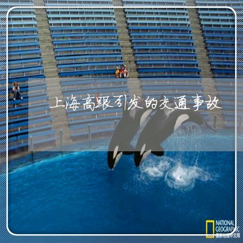 上海高跟引发的交通事故/2023021595826 上海高跟引发的交通事故/2023021595826