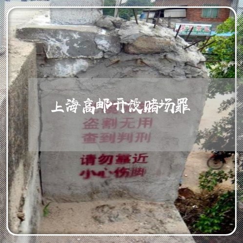 上海高邮开设赌场罪/2023032458250 上海高邮开设赌场罪/2023032458250