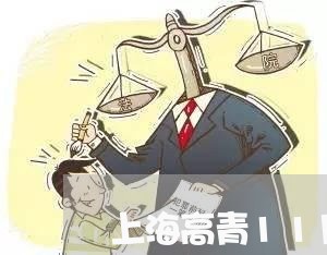 上海高青11月交通事故/2023021531684 上海高青11月交通事故/2023021531684